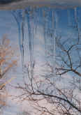 1995 icicles 2.jpg (146543 bytes)