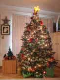 2003 tree lights make stars.jpg (145043 bytes)