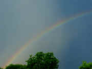 rainbow left side closeup cropped.jpg (161192 bytes)