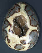 septarian egg.jpg (95732 bytes)